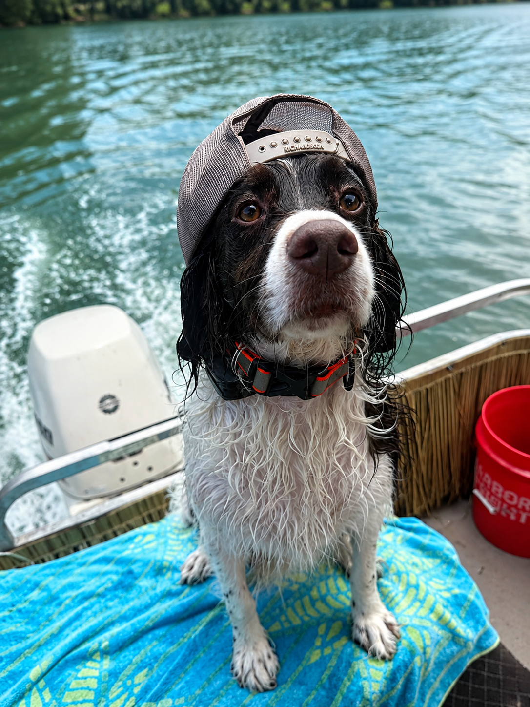 A happy dog wearing a hat on the boat